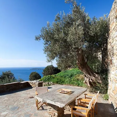 Olive Tree House Villa