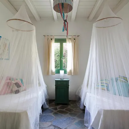 Villa Olive Tree House